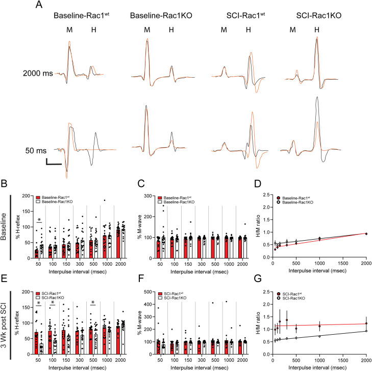 Figure 3.