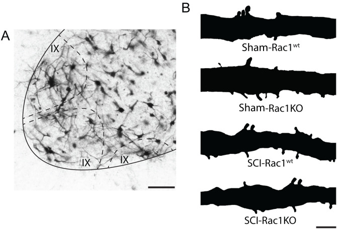 Figure 4.