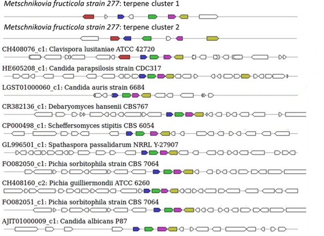 FIGURE 6