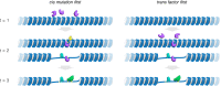 <sc>Fig</sc>. 7.
