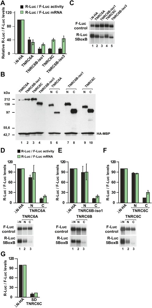 FIGURE 4.