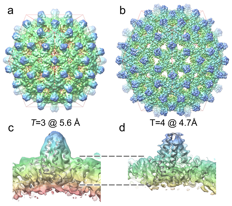 Figure 4