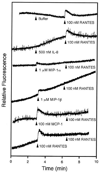 FIG. 8