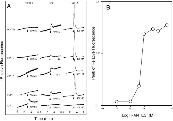 FIG. 7