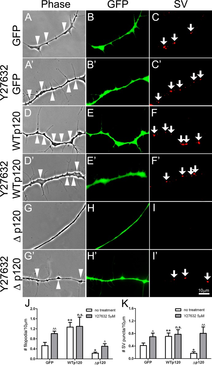 FIGURE 5: