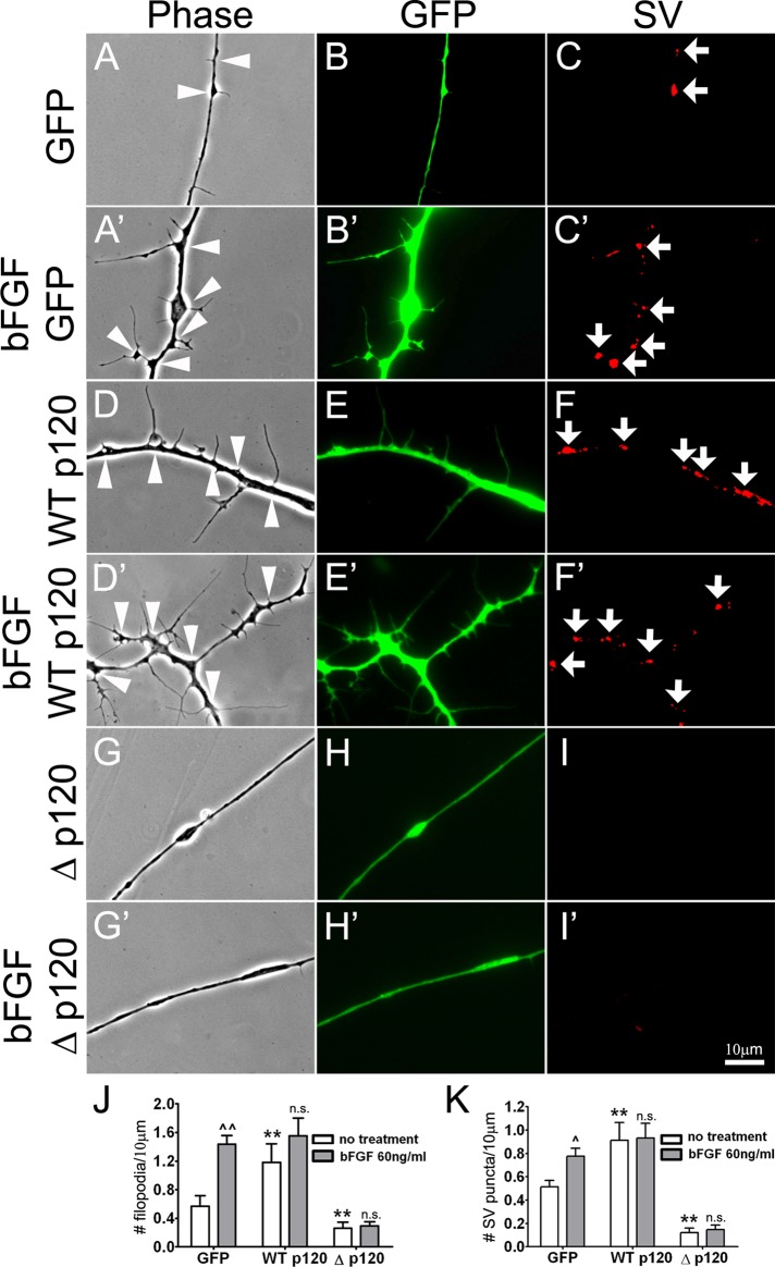 FIGURE 6: