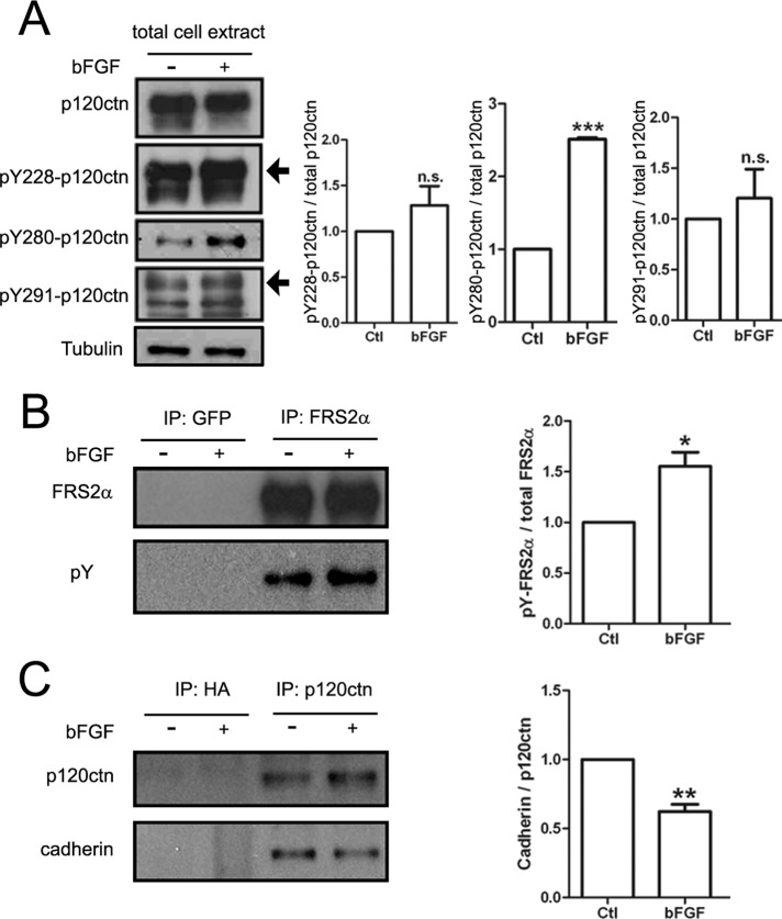 FIGURE 7: