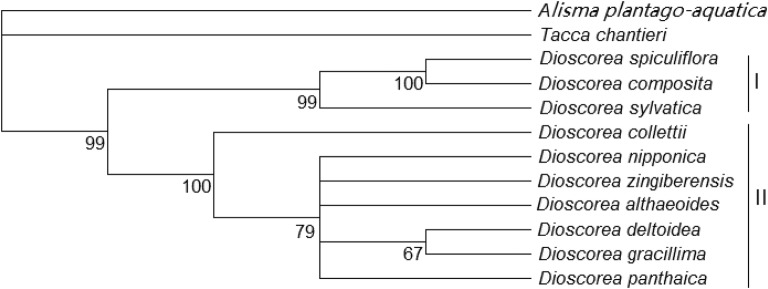 Fig. 6