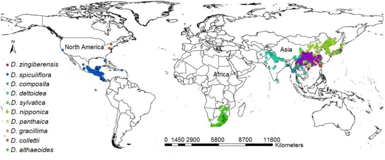 Fig. 1