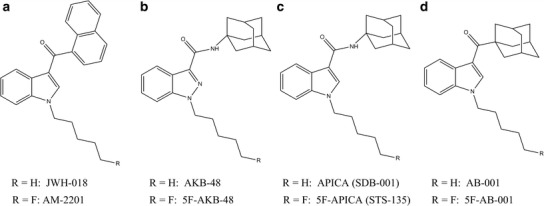 Fig. 1