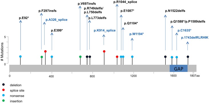 Fig 2