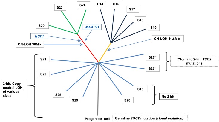 Fig 4