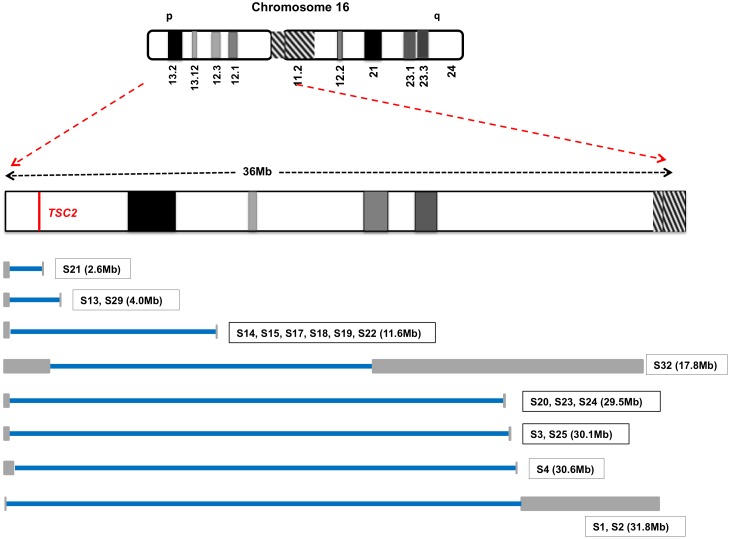 Fig 3