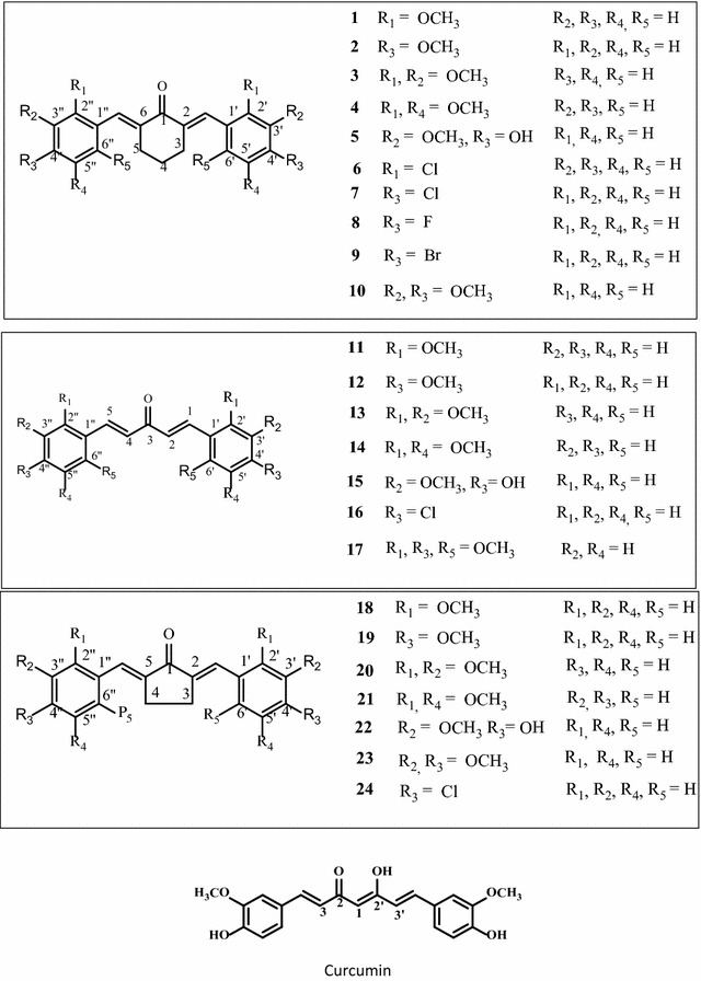 Fig. 1