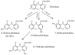 Figure 21