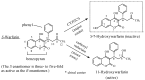 Figure 25