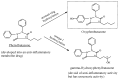 Figure 24
