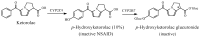 Figure 22