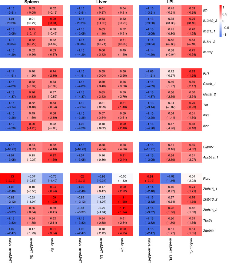 Figure 2—figure supplement 2.