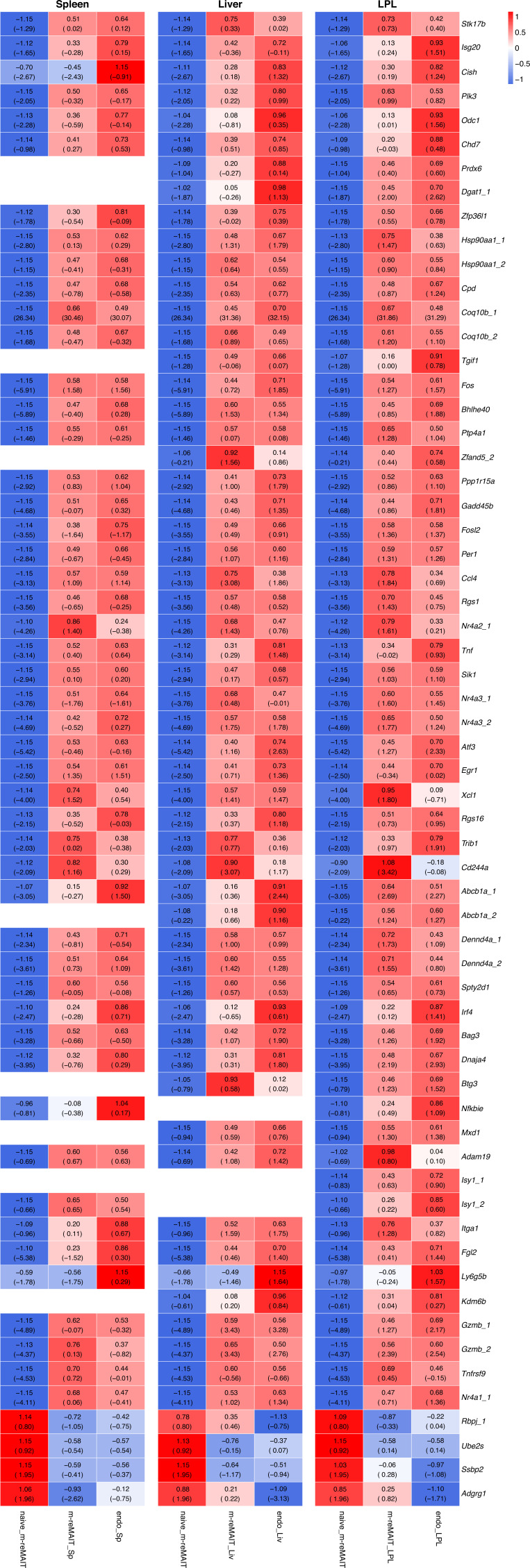 Figure 2—figure supplement 4.