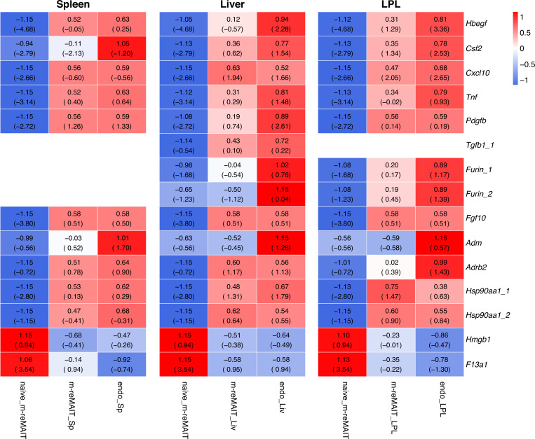 Figure 2—figure supplement 3.