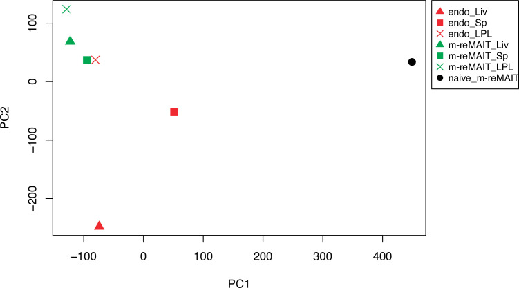 Figure 2—figure supplement 1.