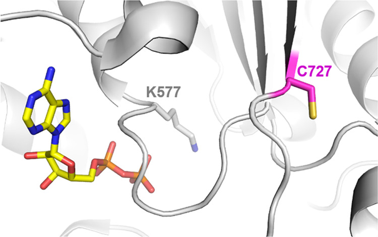 Figure 7