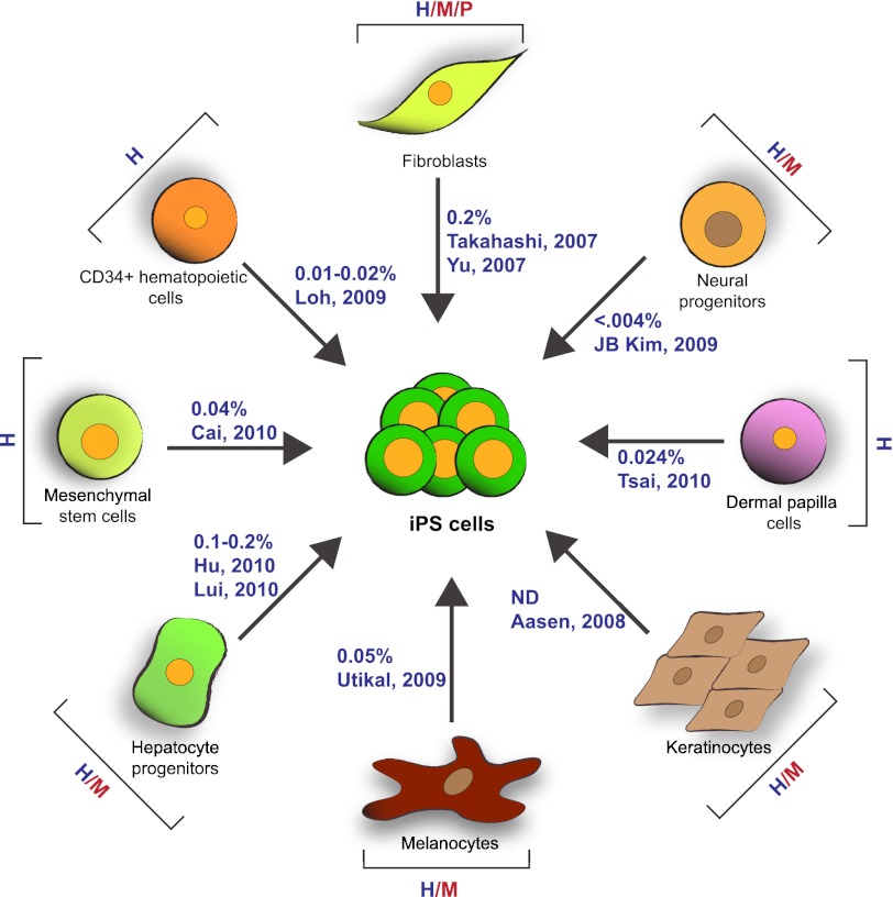 FIGURE 2.