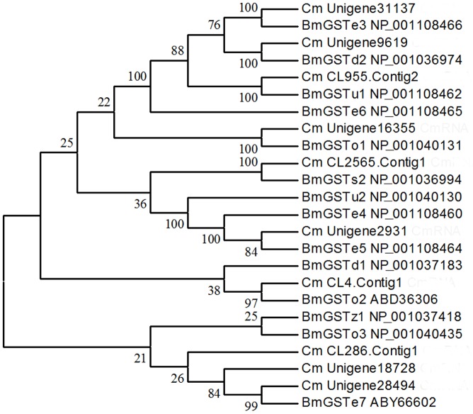 Figure 5