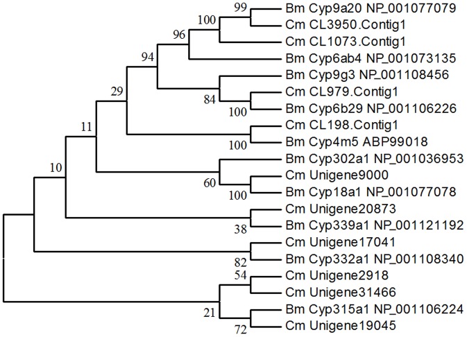 Figure 4