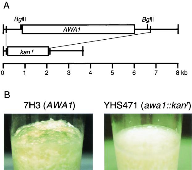 FIG. 5.