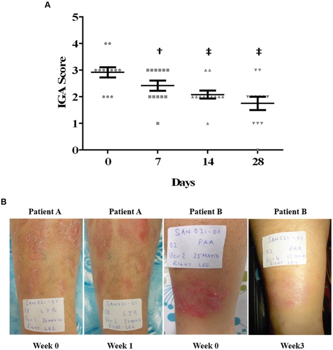 FIGURE 1