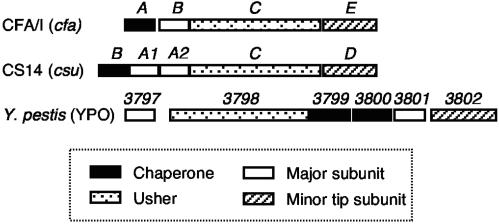 FIG. 1.