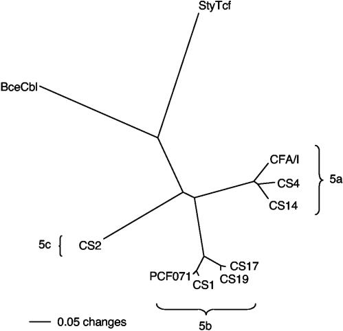 FIG. 2.