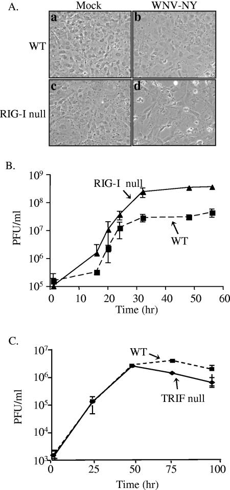 FIG. 8.