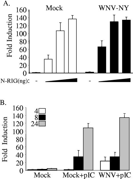 FIG. 4.