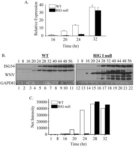 FIG. 7.