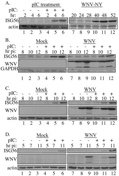 FIG. 5.