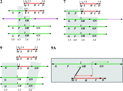 Figure 5.—