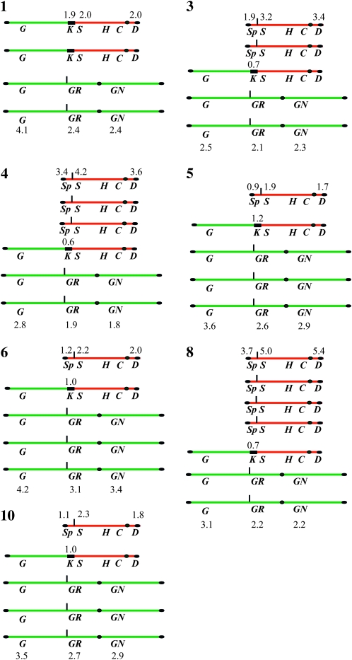 Figure 4.—