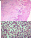 Figure 5