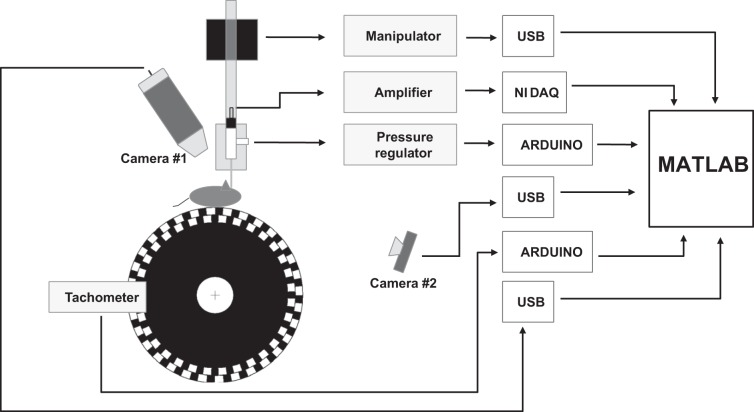 Fig. 1.