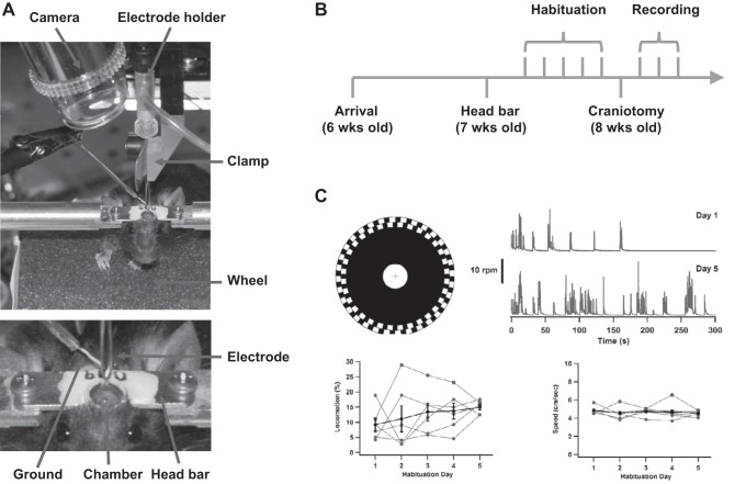 Fig. 2.