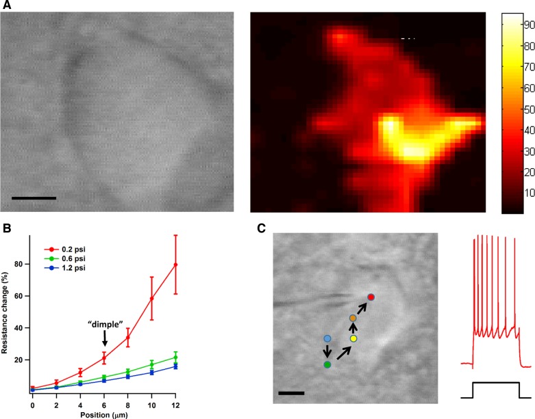 Fig. 6.