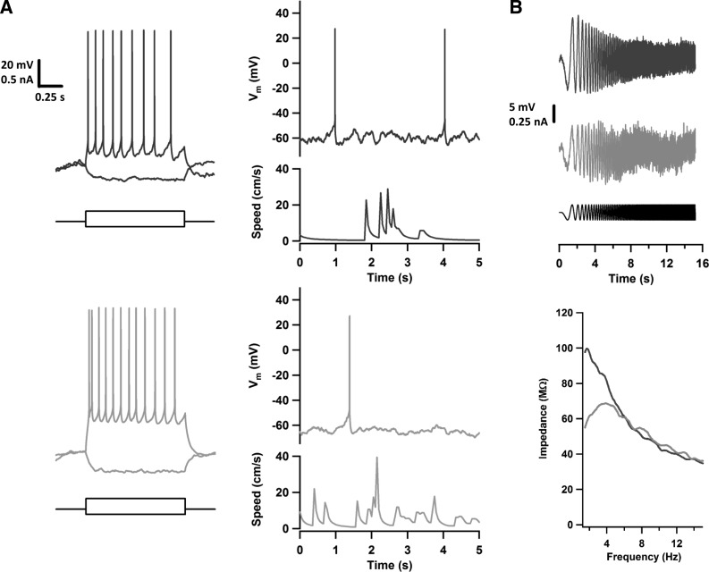 Fig. 8.