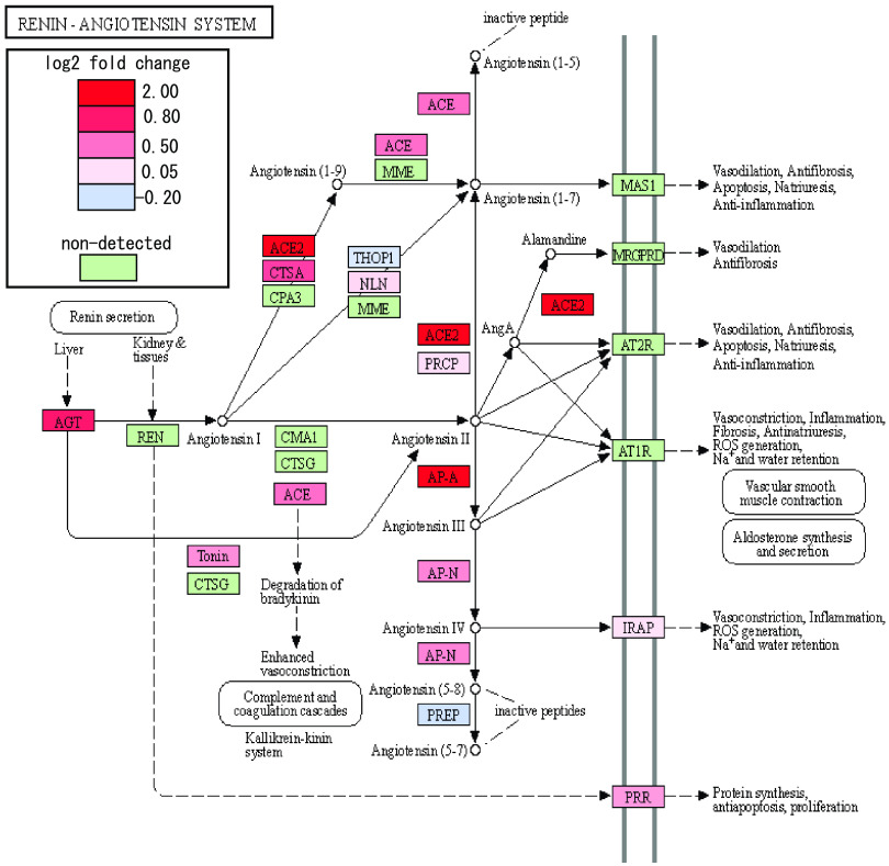 FIG 3