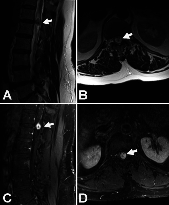 FIG. 1.