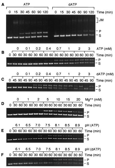 FIG. 6.