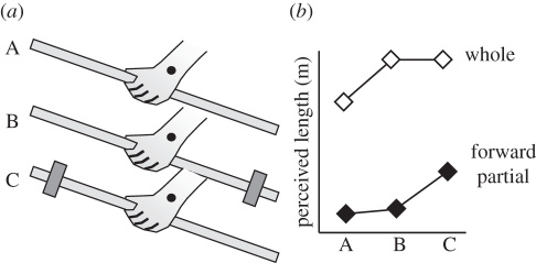 Figure 2.