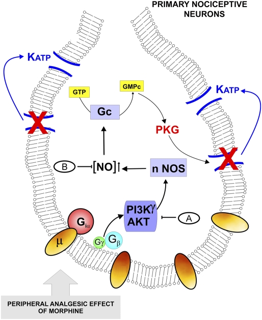 Fig. 6.